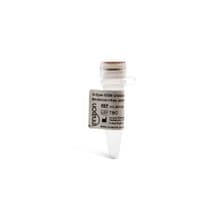 G-type iODN (inhibitory ODN) Endotoxin-free (sterile) Cat. No. #IAX-200-052