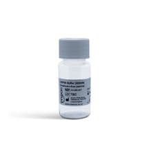 HEPES Buffer (500mM) Endotoxin-free (sterile) Cat. No. #IAX-900-007