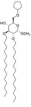 IAXO-202 (Control for IAXO-101 / IAXO-103) (synthetic) Cat. No. #IAX-600-005