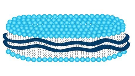 Lipodisq® Formulation Services