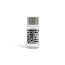 Monophosphoryl Lipid A [MPLA] E. coli R515 (Re) TLRpure Sterile Solution Cat. No. #IAX-100-003