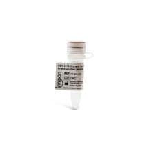ODN 2118 (Control for ODN 1585) Endotoxin-free (sterile) Cat. No. #IAX-200-203