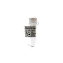 ODN 2216 (Type A) Endotoxin-free (sterile) Cat. No. #IAX-200-005