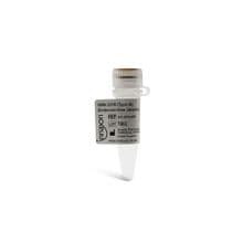 ODN 2216 (Type A) Endotoxin-free (sterile) Cat. No. #IAX-200-005