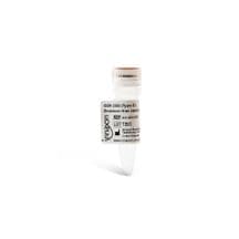 ODN 2395 (Type C) Endotoxin-free (sterile) Cat. No. #IAX-200-007