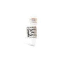 ODN 2395 (Type C) Endotoxin-free (sterile) Cat. No. #IAX-200-007