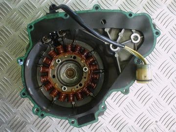 APRILIA RSV MILLE WINDINGS & CASING