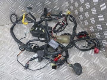 HONDA CBR600FW WIRING LOOM