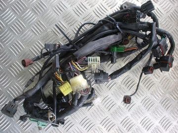 MAIN WIRING LOOM