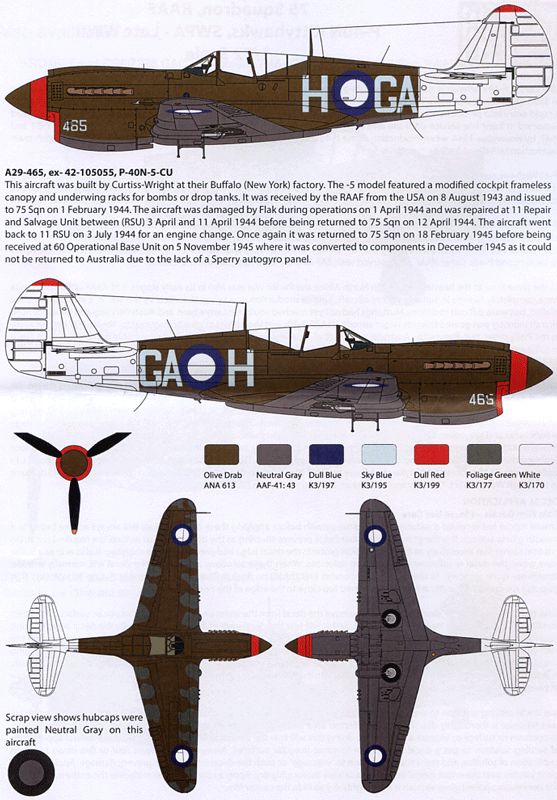 75 Sqn RAAF P-40N Kittyhawks - Late WWII (48)