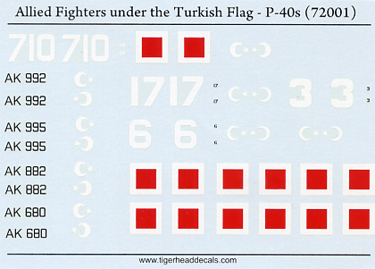 Allied Fighters Under The Turkish Flag - P-40's (72)