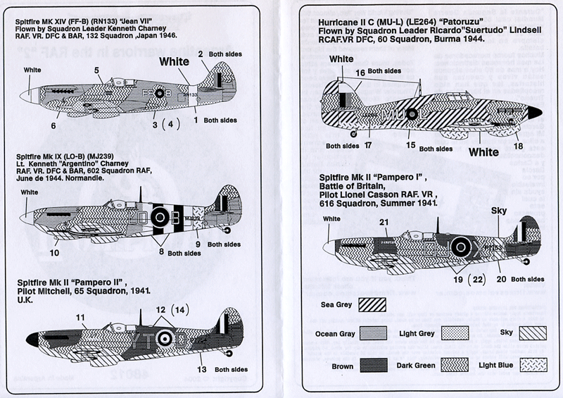 Argentine Warriors in the RAF 2 (48)