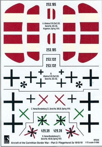 Carinthian Air War 1918-19 (72)