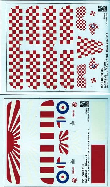 Colourful Camels (72)