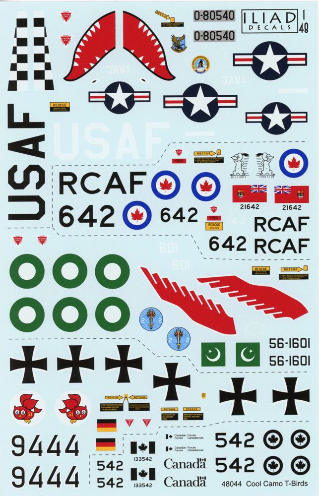 Cool Camo T-Birds (48)