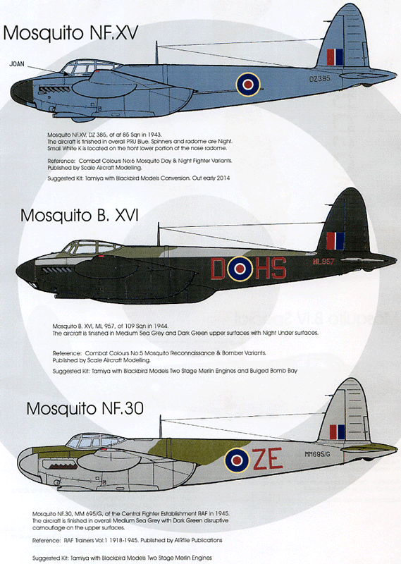 dH Mosquito Pt:2 (72)