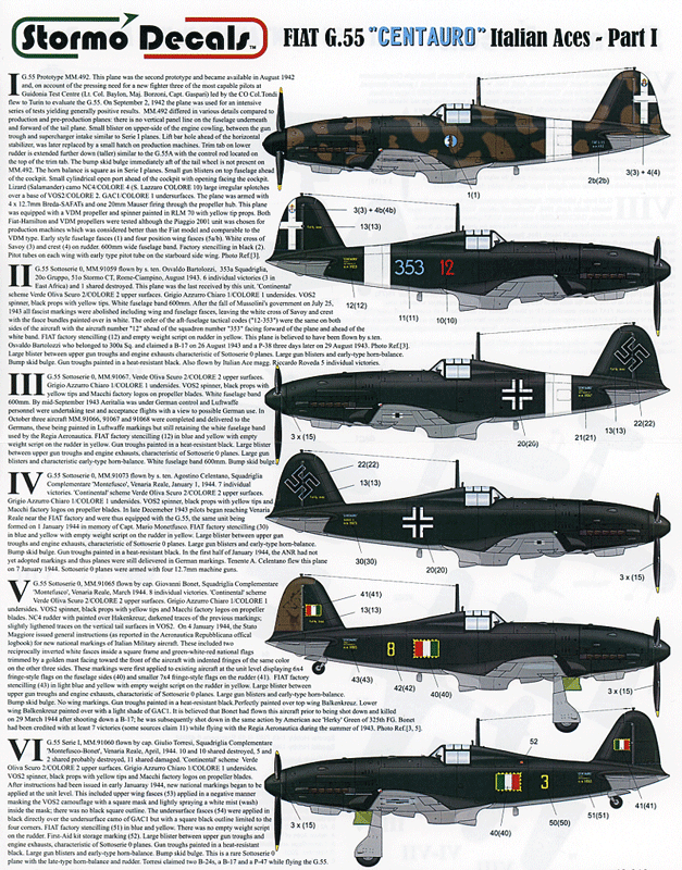Fiat G.55 Italian Aces Pt:1 (48)