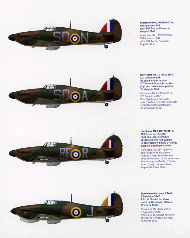 Hurricane mkI  (72)