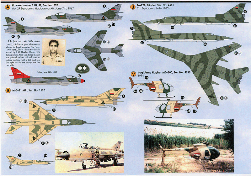 Iraqi Flag & Air Force Emblem (72)