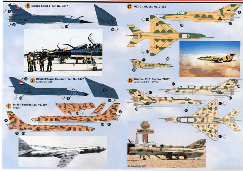 Iraqi Flag & Air Force Emblem (72)