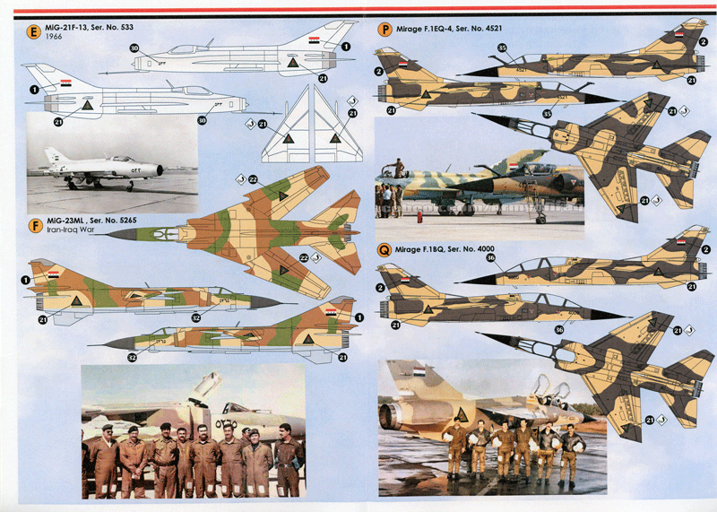 Iraqi Flag & Air Force Emblem (72)