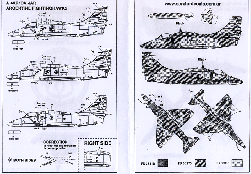Latin Hawks (48)