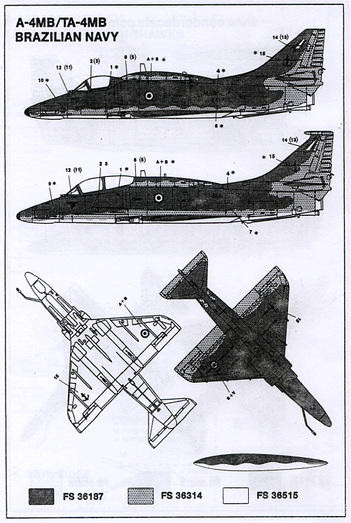 Latin Hawks (48)