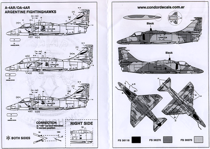Latin Hawks (72)