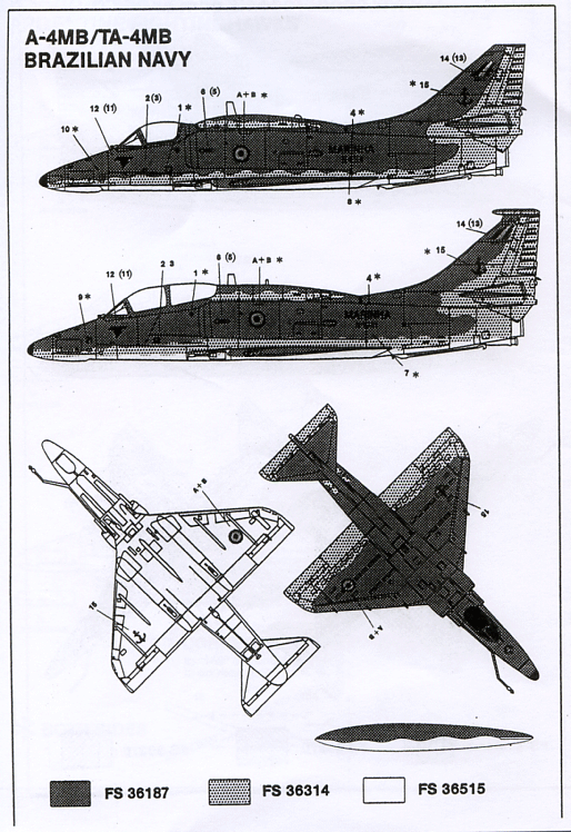 Latin Hawks (72)