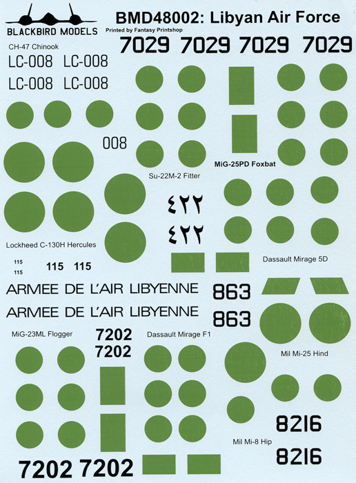 Libyan Arab Air Force (48)