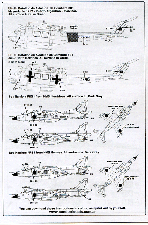 Malvinas/Falklands War III