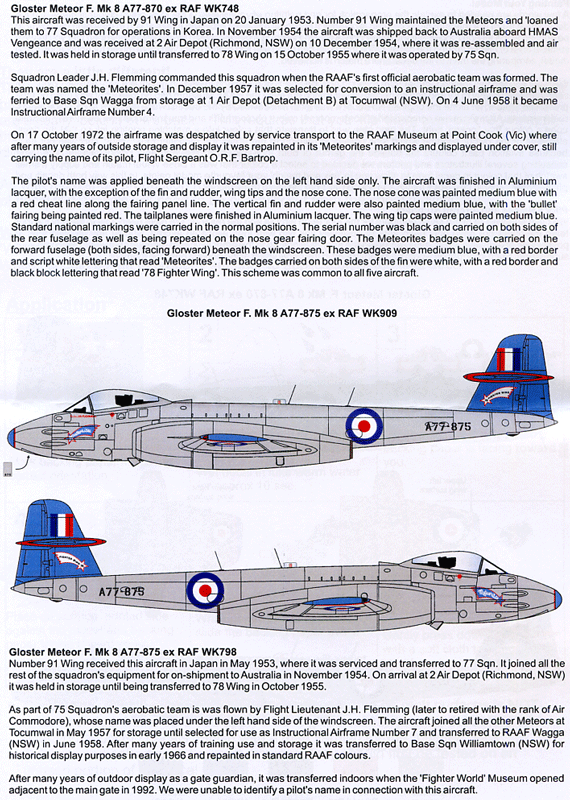 Meteorites Aerobatic Team (48)