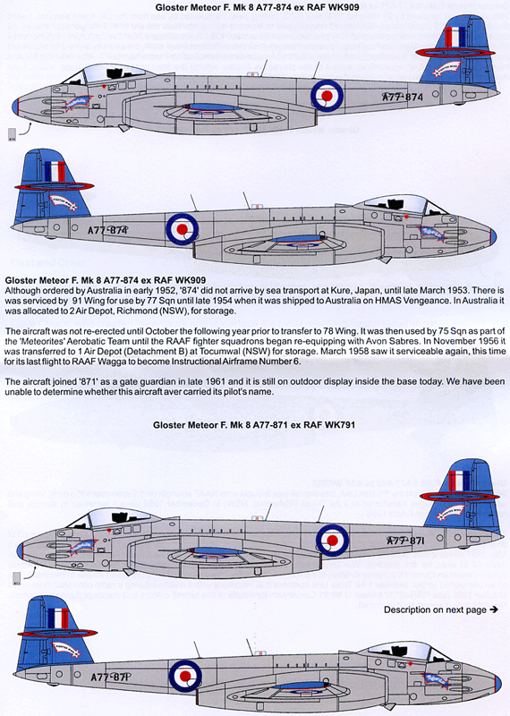 Meteorites Aerobatic Team (48)