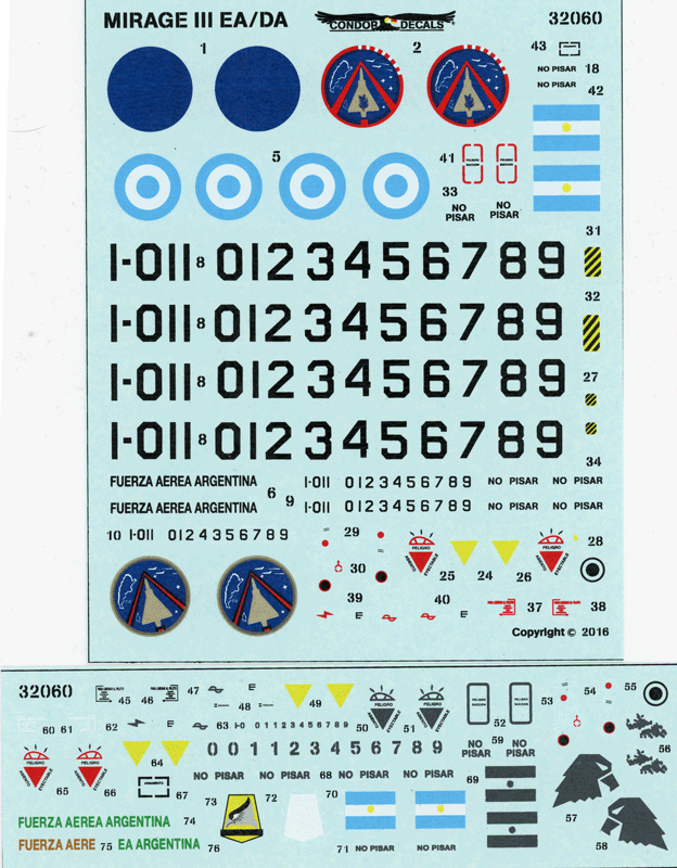 Mirage IIIEA in the Argentine Air Force (32)