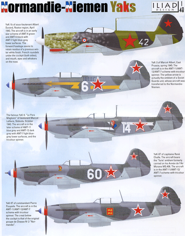 Normadie-Niemen Yaks (48)