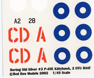 P-40E 2 OTU RAAF (48)