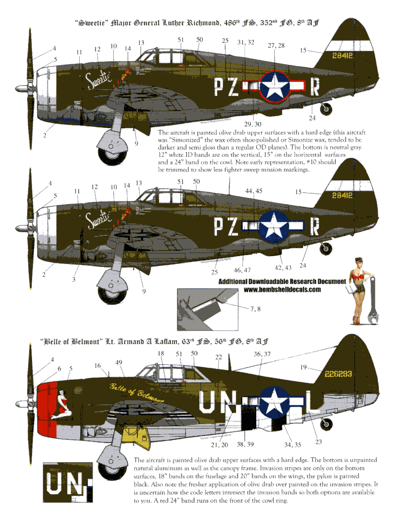 P-47D Razorback Double D Jugs 48
