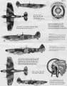 RCAF Spitfires (72)