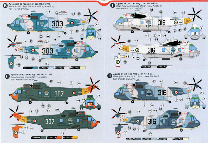SH-3D Sea King in Iranian Service (48)