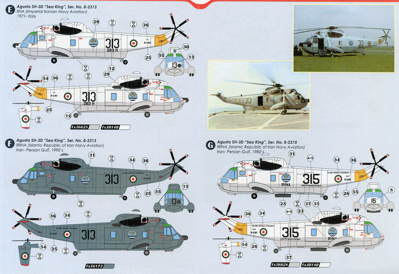 SH-3D Sea King in Iranian Service (48)