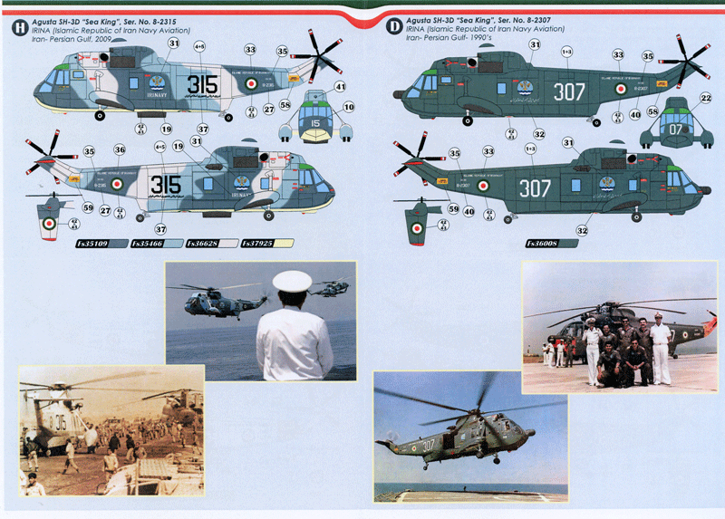 SH-3D Sea King in Iranian Service (48)