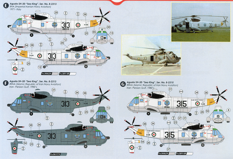 SH-3D Sea King in Iranian Service (72)