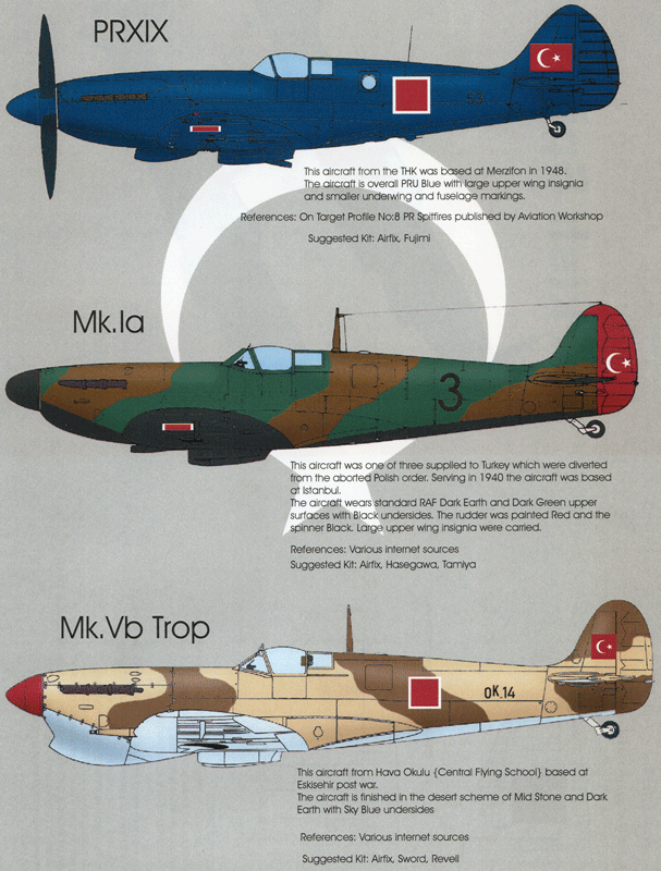 Turkish Spitfires (72)