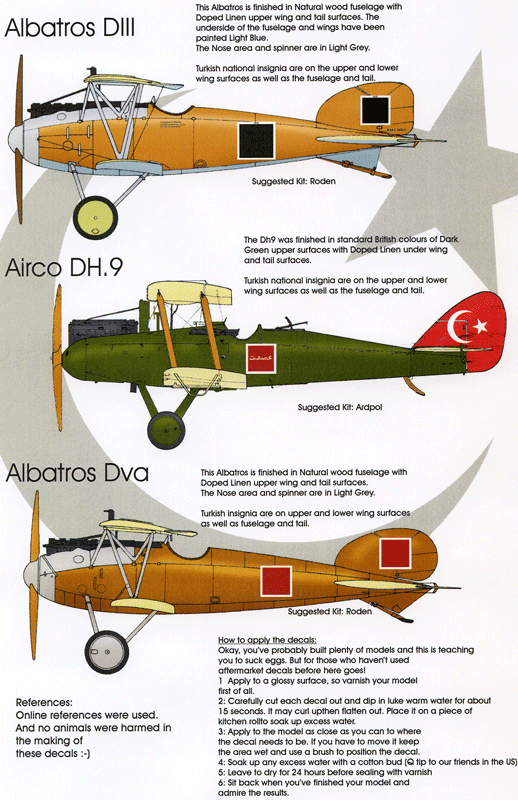 Turkish War of Independence (72)