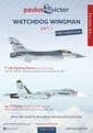 Watchdog Wingman Part 1(144)