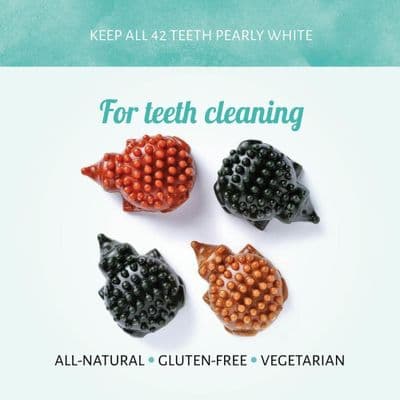 Antos Cerea Hedgehog Large 10cm - Single