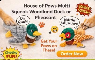 House of Paws Multi squeak Woodland Duck or Pheasant