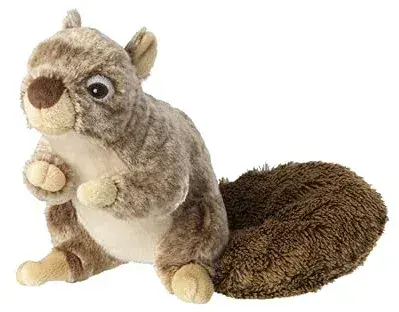 House of Paws  Squirrel