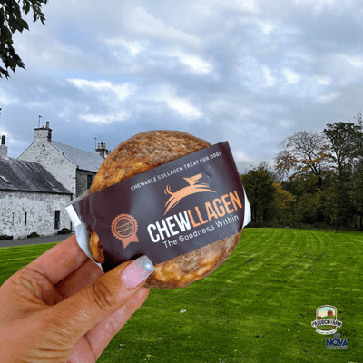 NEW...Chewllagen Beef Donut 3.5