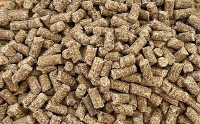 NEW...Lamb & Sweet Potato (Cold Pressed)